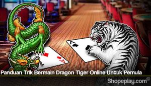 Panduan Trik Bermain Dragon Tiger Online Untuk Pemula
